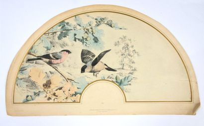 null Ornithologie, vers 1890-1900
Suite de trois planches de feuilles d'éventails...