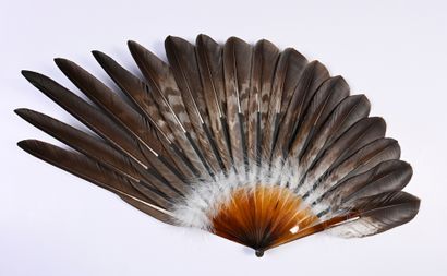 null Asymmetry, circa 1900
Feather fan with asymmetrical composition.
Mounting in...