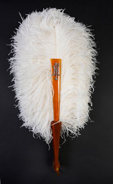 null Diamonds, circa 1920-1930
White ostrich feather fan.
Mounting entirely in blond...
