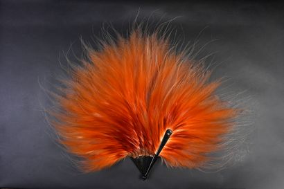 null Feathers of paradise, circa 1920
Exceptional feather of paradise fan.
Mounting...
