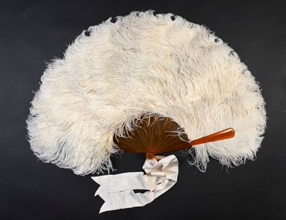 null White feathers, circa 1890
White ostrich feather fan.
Blonde tortoiseshell frame....