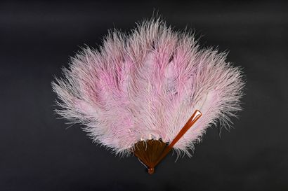 null Pink feathers, circa 1920
Ostrich feather fan, tinted pink, called half-pleasure...