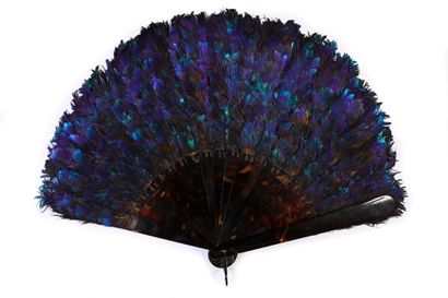 null Lophophore, circa 1900
Fan made of lophophore feathers with blue reflections.
Brown...