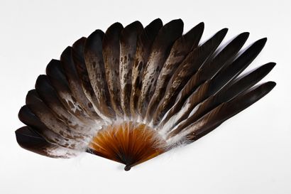 null Asymmetry, circa 1900
Feather fan with asymmetrical composition.
Mounting in...