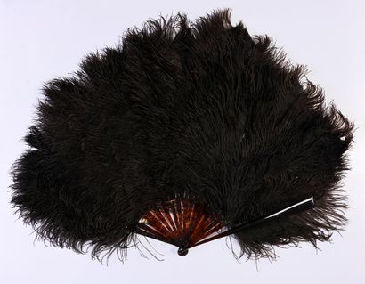 null Amours sculptés, vers 1890- 1900
Éventail en plumes d'autruches noires.
Monture...