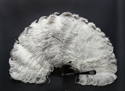 null Diamond cipher, circa 1920-1930
Ostrich feather fan.
Brown tortoiseshell frame....
