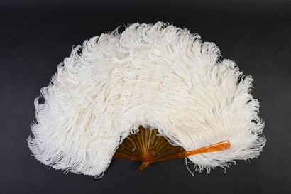 null White ostrich, circa 1890
Fan made of white ostrich feathers and marabou.
Blonde...