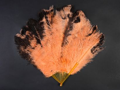 null Dégradé abricot, vers 1920
Éventail en plumes d'autruches teintées couleur abricot.
Monture...