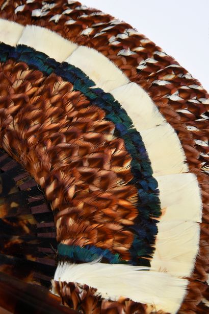 null Pheasant feathers, circa 1900
Small fan made of pheasant and peacock feathers.
Synthetic...