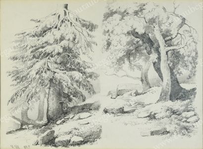 SCHISHKINE Ivan Ivanovitch (1832-1898). Study of two trees in a forest. Pencil drawing...