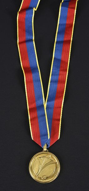 null Winner's gold medal awarded to the players and staff of the French Team for...