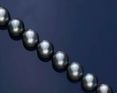 null Necklace made of a drop of 31 grey cultured pearls (D.: 12 mm to 14 mm), clasp...