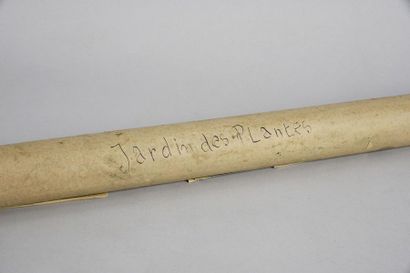 null Jardin des Plantes, set of two scrolls and two parts of scrolls, circa 1930,...