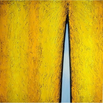 Agnès Rancier Picard Yellow
zipper 80cm X 80cm

Winner of the PARIS ARTY-SHOW 2019

Prize...