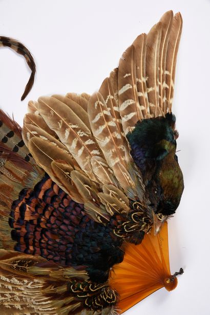 null Pheasant feathers, circa 1900
Pheasant feather fan.
Blonde tortoiseshell frame**,...