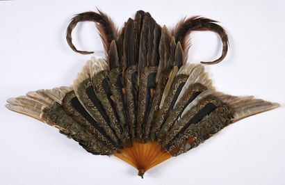 null Pheasant feathers, circa 1900
Pheasant feather fan.
Blonde tortoiseshell frame**,...