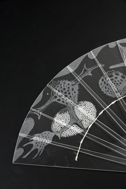 A. Lorraine Taylor-Kent Underwater Life, 1991
Plexiglass broken type fan engraved...