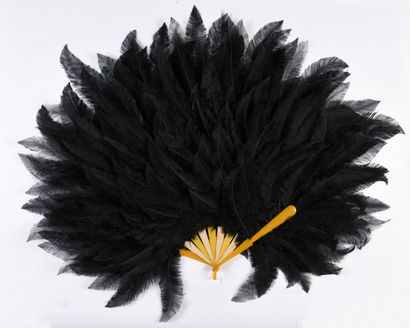  Noir, c'est noir, vers 1900 Éventail en plumes d'autruches (blondines) teintées...