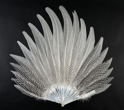  Silver pheasant stripes, circa 1920 Very elegant fan made of silver pheasant feathers,...