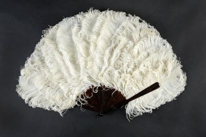 null Pour Hélène Waddington, vers 1920-1930
Éventail en plumes d'autruches blanches.
Monture...