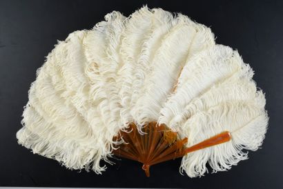  Blancheur, vers 1880-1890 Éventail en plumes d'autruches blanches. Monture en écaille...