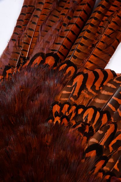 null 
Red-tinted pheasant feathers, circa 1900-1920



Synthetic frame in imitation...