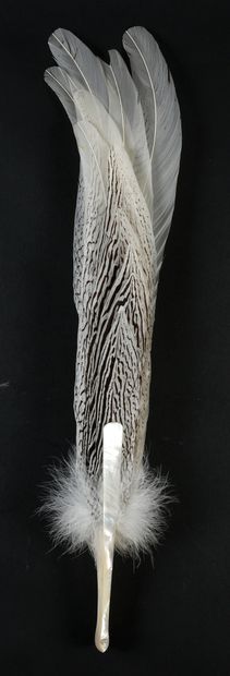 null Silver pheasant stripes, circa 1920
Very elegant fan made of silver pheasant...