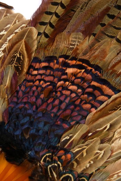  Pheasant feathers, circa 1900 Pheasant feather fan. Blonde tortoiseshell frame**,...