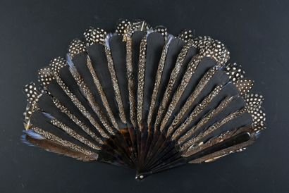 null Blue flames, circa 1900
Rare vulturine guinea fowl feather fan.
Synthetic frame...