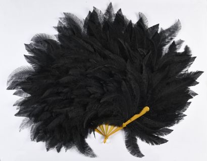 null Black is black, circa 1900
Black tinted ostrich feather fan. 
Yellow ochre synthetic...