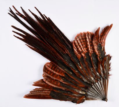 null 
Red-tinted pheasant feathers, circa 1900-1920



Synthetic frame in imitation...