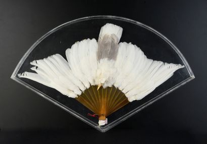  Plumes de colombe, début du XXe siècle Monture en écaille blonde**. H.t. 28 cm Avec...