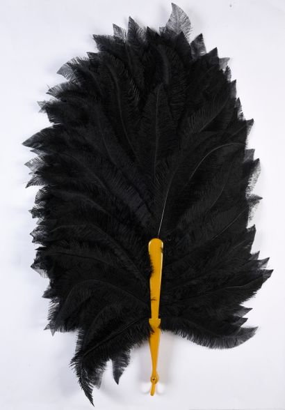 null Black is black, circa 1900
Black tinted ostrich feather fan. 
Yellow ochre synthetic...