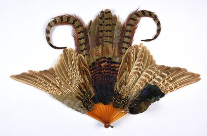 null Pheasant feathers, circa 1900
Pheasant feather fan.
Blonde tortoiseshell frame**,...