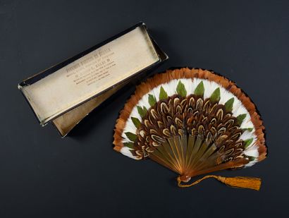 null Pheasant feathers, circa 1900
Small pheasant feather fan. 
Blonde tortoiseshell...