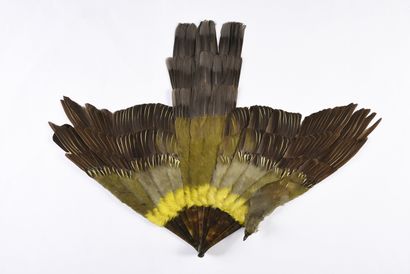 null Green feathers, circa 1900.
Brown tortoiseshell frame**. 
 H.t. 46 cm 
With...