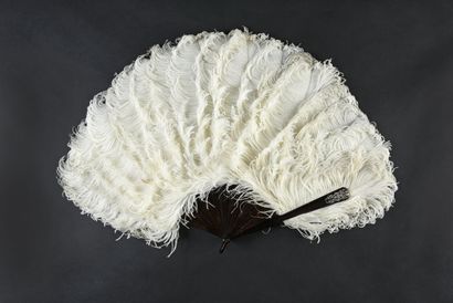 null Pour Hélène Waddington, vers 1920-1930
Éventail en plumes d'autruches blanches.
Monture...