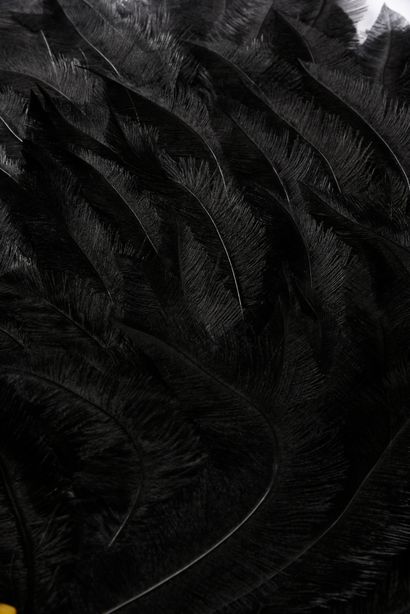 null Black is black, circa 1900
Black tinted ostrich feather fan. 
Yellow ochre synthetic...
