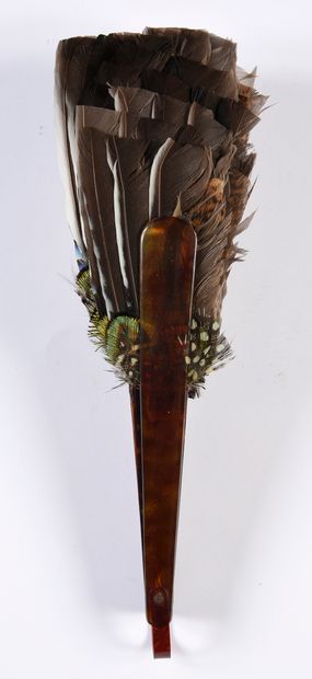 null Jay and peacock, circa 1920
Small fan made of jay, guinea fowl and peacock feathers.
Synthetic...