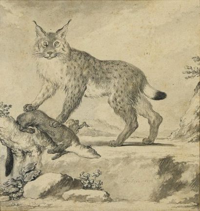 Jacques Eustache de Sève (vers 1770-1830) 
Le lynx 1792
Plume et lavis gris sur papier...