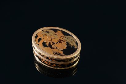 LARGE JAPANESE LACQUER SNUFFBOX, SALLOT PIERRE-GUILLAUME,...
