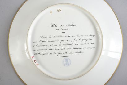null SERVICE DES PÊCHES, MANUFACTURE ROYALE, SÈVRES, 1841-1843.
Assiette plate en...