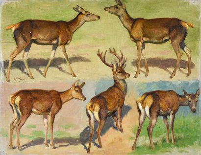 Georges Frédéric ROTIG (1873 - 1961) 
Etude de biches et de cerfs.
Huile sur toile,...