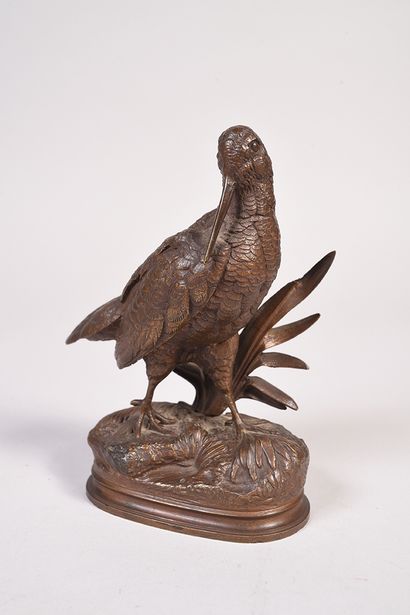 Alfred DUBUCAND (1828-1894) 
La bécasse.
Beau bronze à patine brune chocolat.
Fonte...