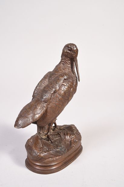 Alfred DUBUCAND (1828-1894) 
La bécasse.
Beau bronze à patine brune chocolat.
Fonte...