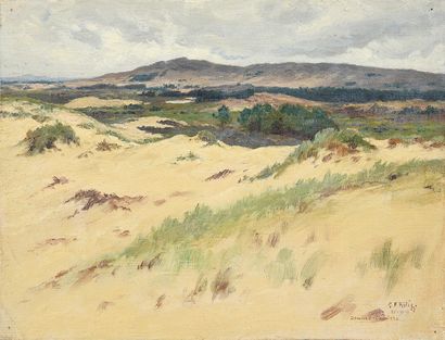 Georges Frédéric ROTIG (1873 - 1961) 
Vue d'une lande.
Huile sur toile, signée en...