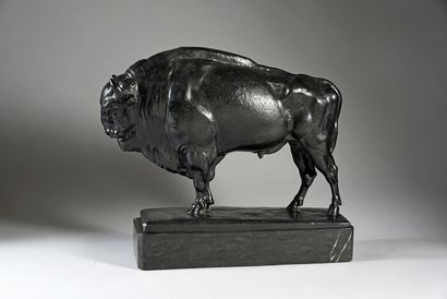 Albert KRAEMER (1889-1930) 
Bison d'Amérique du Nord.
Bronze à patine noire, signé...