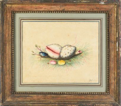 David Gibson (actif entre 1788 et 1802/8) 


Nature morte aux coccinelles et coquillages,...