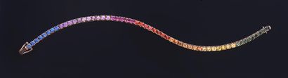 null Bracelet ligne arc-en-ciel en or rose 750e serti de saphirs multicolores (bleu,...