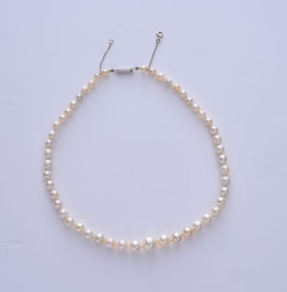 null Collier en chute de perles fines, composé de 50 perles blanc crème de 4,5 à...